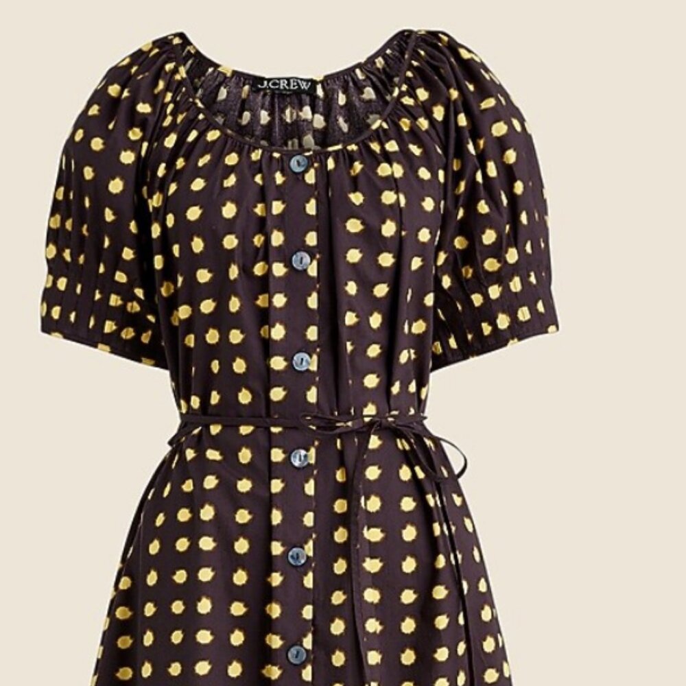 Button-up midi dress in dot cotton poplin; NWT